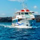 Crucero en barco con fondo de cristal visitando Nea Kameni, Palea Kameni, Thirassia y viisita de Oia desde el mar.