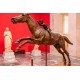 Visita Guiada Museo Arqueológico Nacional en español (tardes)