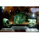 Visita Guiada Museo Arqueológico Nacional en español (tardes)