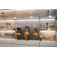 Visita Guiada Museo Arqueológico Nacional en español (tardes)