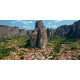 Excursión a Meteora Tour de 1 día en Tren desde Atenas