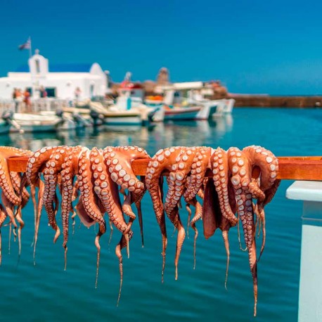 Viaje Atenas Milos Paros