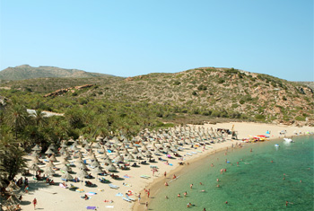 Playa de Vai, las palmeras de Creta