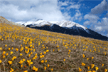 Monte Olimpo, en Macedonia de la Grecia Continental