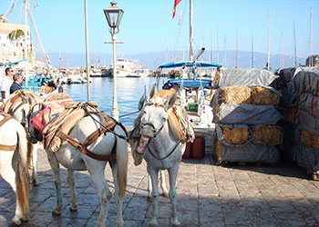 La isla de Hydra, Hidra, Idra, Islas Sarónicas, Grecia, Islas Griegas