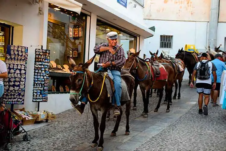 Burros de Santorini